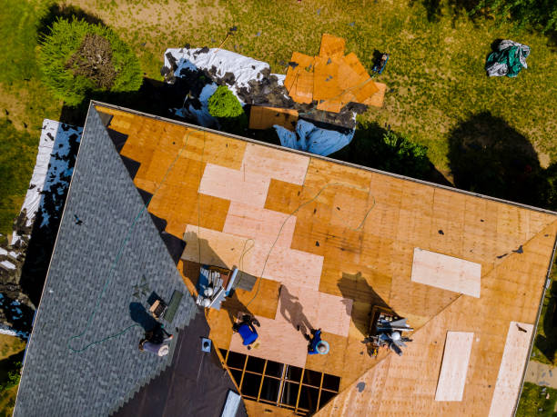 Best Residential Roofing Contractor  in Romeo, MI