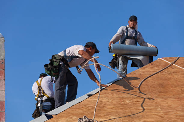 Best Roof Inspection Near Me  in Romeo, MI