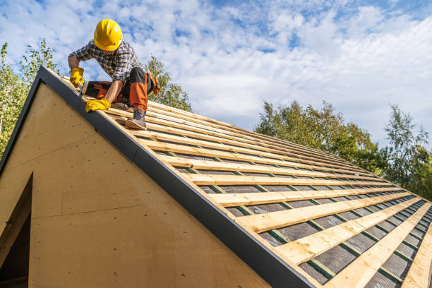 Best Roof Maintenance Services  in Romeo, MI