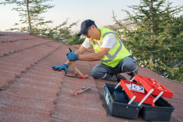 Best Roof Restoration Services  in Romeo, MI