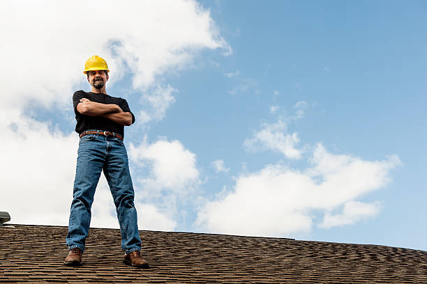 Best Roof Gutter Cleaning  in Romeo, MI