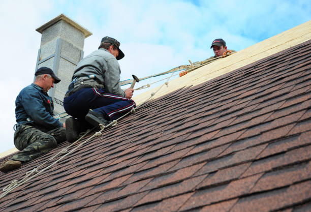 Best Gutter Installation and Roofing  in Romeo, MI
