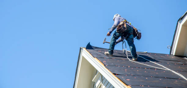 Best Residential Roofing Contractor  in Romeo, MI